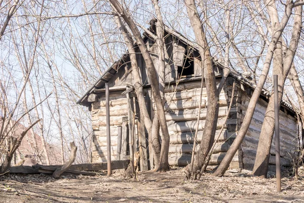 Casa de madera abandonada entre los árboles — Foto de Stock