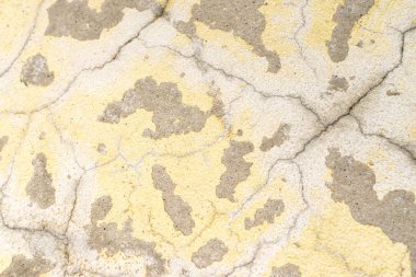 Grunge arka plan kirli kireç sıva ile