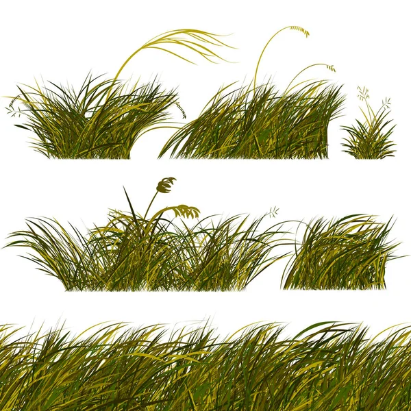 Verde Steppe Grass Borders Set — Vector de stock