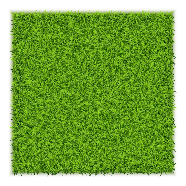 Fondo cuadrado de hierba verde — Vector de stock