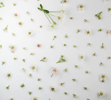 Küçük tomurcuklar desen