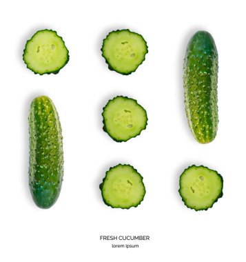 Taze salatalık desen