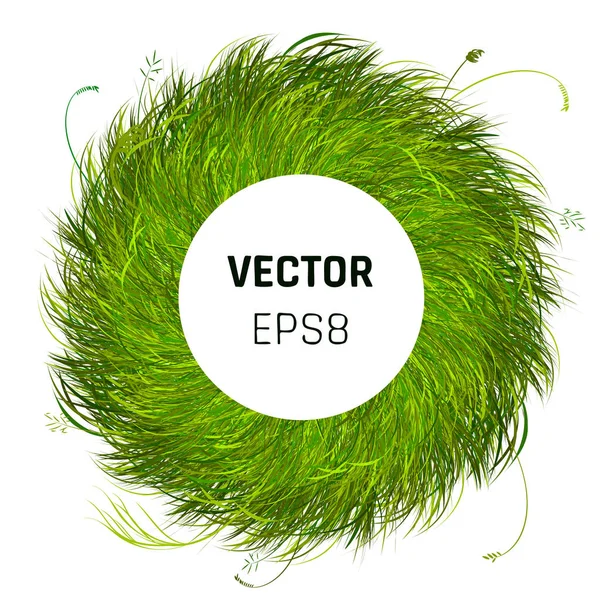 Gröna Gräset Cirkeln Bakgrund Eco Hem Koncept Vektorillustration — Stock vektor