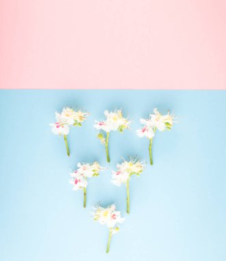 Sprinf çiçek arka plan