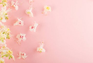 Sprinf çiçek arka plan