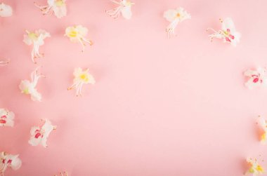 Sprinf çiçek arka plan