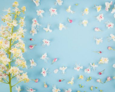 Sprinf çiçek arka plan