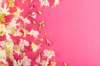 Sprinf çiçek arka plan