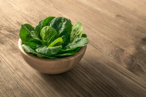 Fresh Spinach Leaves — Stock Photo, Image