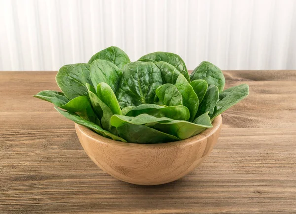 Fresh Spinach Leaves — Stock Photo, Image