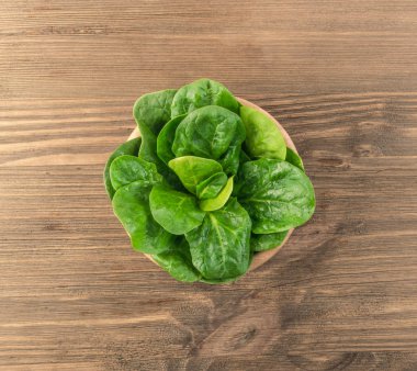 taze ıspanak yaprakları