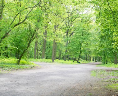 Eski yeşil Park yolundaki ülke