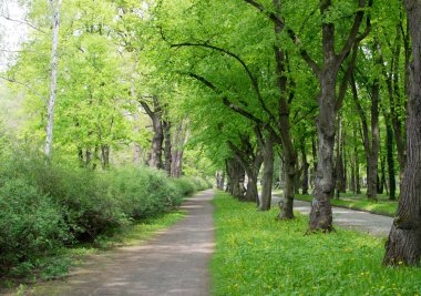 Eski yeşil Park yolundaki ülke
