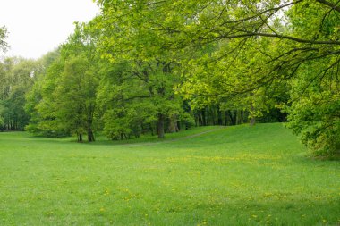 güzel bahar çayır