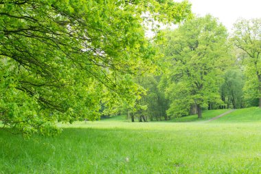 güzel bahar çayır