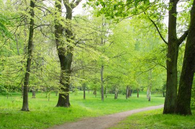 Eski yeşil Park yolundaki ülke