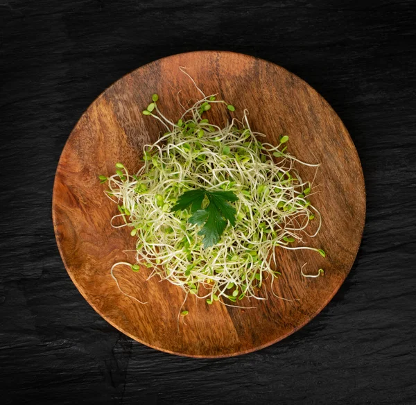 Brotos de trevo vermelho, conceito de alimentação saudável micro verde — Fotografia de Stock