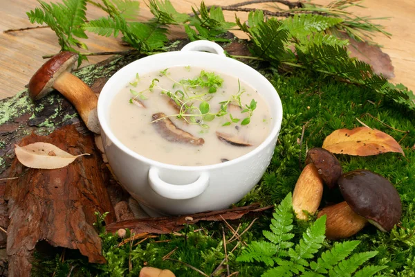 White Restaurant Plate with Cream Boletus Mushroom Soup — Stock Image White Restaurant Plate with Cream Boletus Mushroom Soup Royalty Free Stock Photos