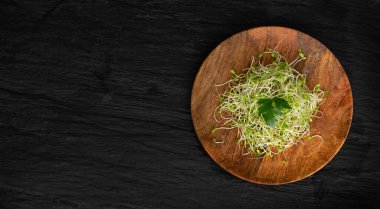 Kırmızı Yonca Filizi, Mikro Yeşil Sağlıklı Beslenme Konsepti