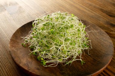 Kırmızı Yonca Filizi, Mikro Yeşil Sağlıklı Beslenme Konsepti