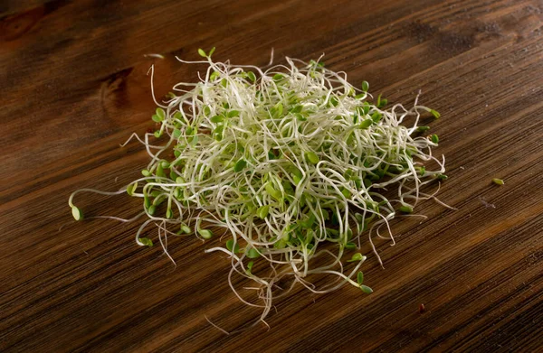 红三叶草芽，微绿色健康饮食理念 — 图库照片