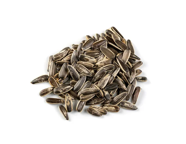 Montón de semillas de girasol de rayas grandes con cáscara aislada —  Fotos de Stock