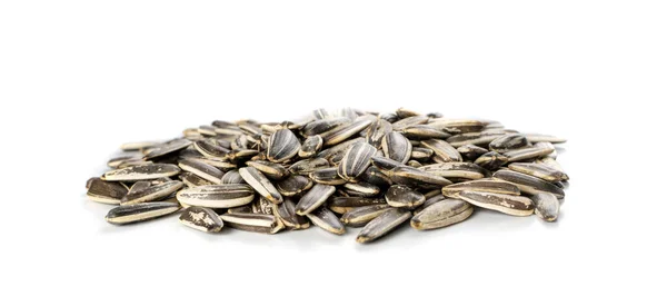 Montón de semillas de girasol de rayas grandes con cáscara aislada —  Fotos de Stock