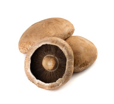 Portobello mantar, portabella veya portobella beyaz izole