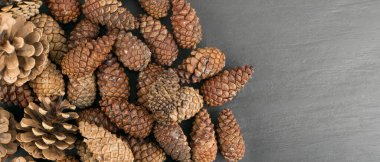 Kuru Kahverengi Çam Kozalağı Arka Plan, Doku veya Desen