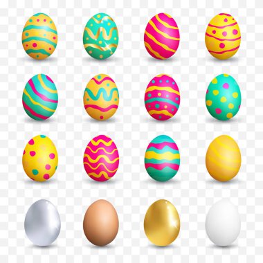 Gerçekçi Beyaz ve Kahverengi Tavuk Yumurtaları