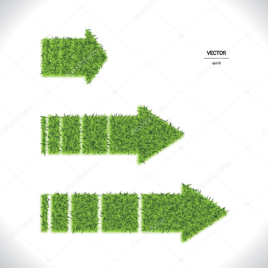 Green Grass Vector Arrow Collection Isolated on White