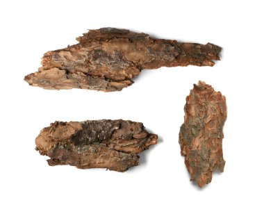 Ağaç Kabuğu veya Bahçe Çamuru Beyaz Arkaplanda İzole Edildi