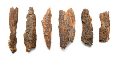 Ağaç Kabuğu veya Bahçe Çamuru Beyaz Arkaplanda İzole Edildi