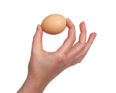 El ele tutuşan Çiğ Tavuk Yumurtası Beyaz Arkaplanda İzole Edildi