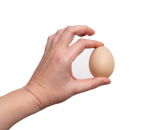 白色背景下分离的手拿着生鸡蛋 — 图库照片