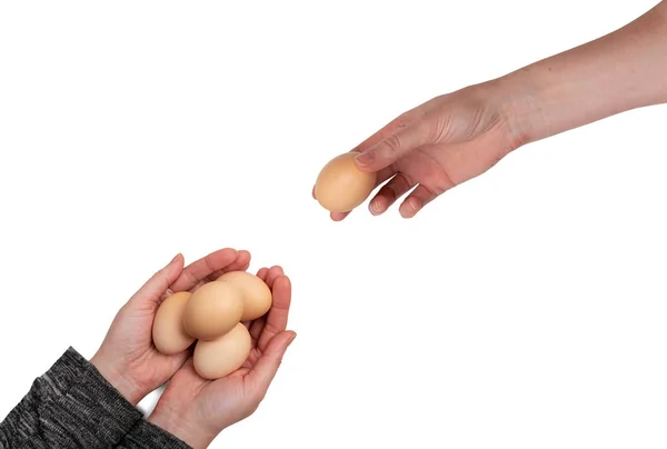 Oeuf de poulet cru isolé à la main sur fond blanc — Photo