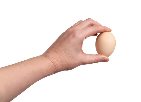 Hand Holding Raw Chicken Egg Isolated on White Background — Stock Photo, Image