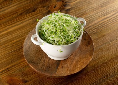 Kırmızı Yonca Filizi, Mikro Yeşil Sağlıklı Beslenme Konsepti