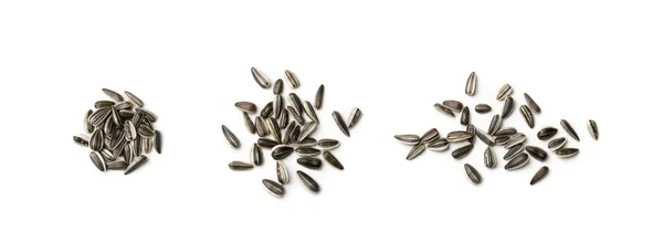 Pile of Small Striped Sunflower Seeds with Shell Isolated — Stock Photo, Image