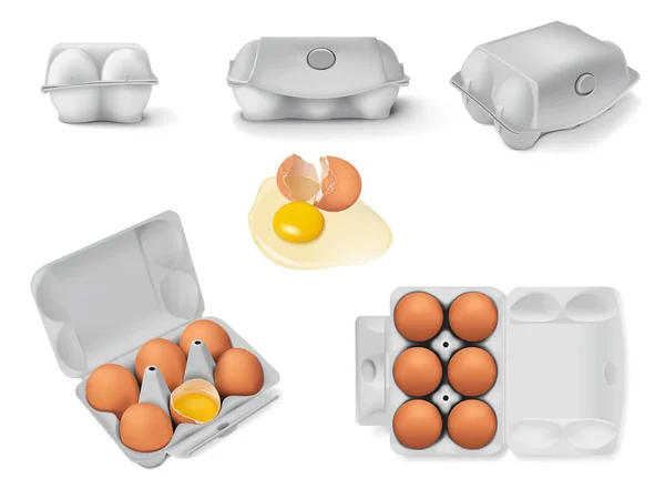 鶏の卵、カートンパックまたは卵の容器と卵の箱のセット — ストックベクタ