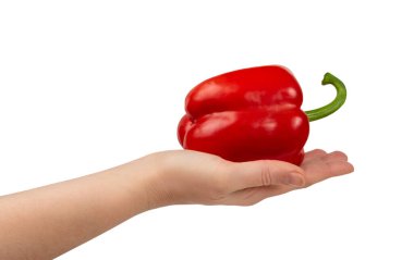 Elinde kırmızı ya da kırmızı biber olan kırmızı biber beyaz arka planda kırpma yolu ile izole edilmiş. Dolmalık biber ya da biber tutan insan eli.