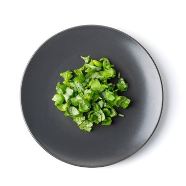 Beyaz arka planda taze yeşil fesleğen yaprakları. Baharatlı aromalı ham bazilika ya da koyu plaka manzaralı oktanlı otlar.