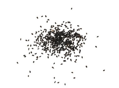 Beyaz arka planda izole edilmiş siyah kimyon ya da siyah kimyon baharatlı tohumlar. Nigella sativa ayrıca nigella, kalojeere ve kalonji olarak da bilinir.