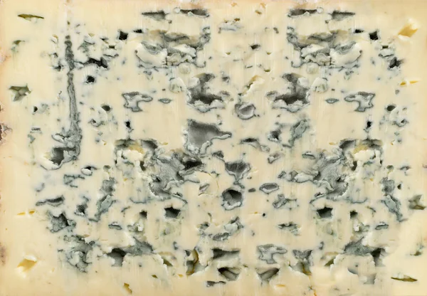 Schimmelige Käsetextur Hintergrund Gorgonzola Neufchatel Oder Danablue Schimmelkäsemuster Aus Nächster — Stockfoto