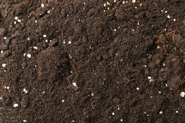 Suelo Con Fertilizantes Minerales Para Jardinería Textura Fondo Patrón Montón — Foto de Stock