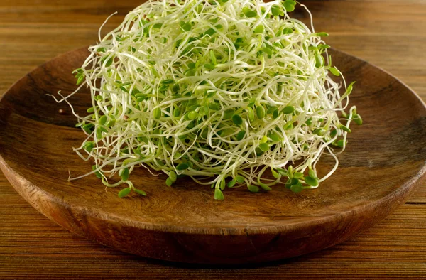 Macro Shot Red Clover Sprouts Lucerne Radish Sprouts Wood Rustic — Stock Photo, Image