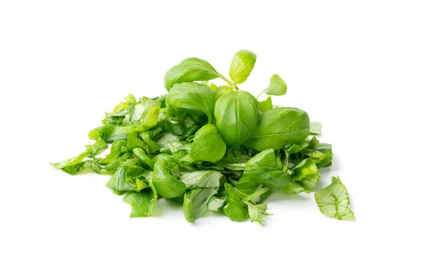 Fresh Green Chopped Basil Leaves Isolated White Background Spicy Aromatic — Stock Photo, Image