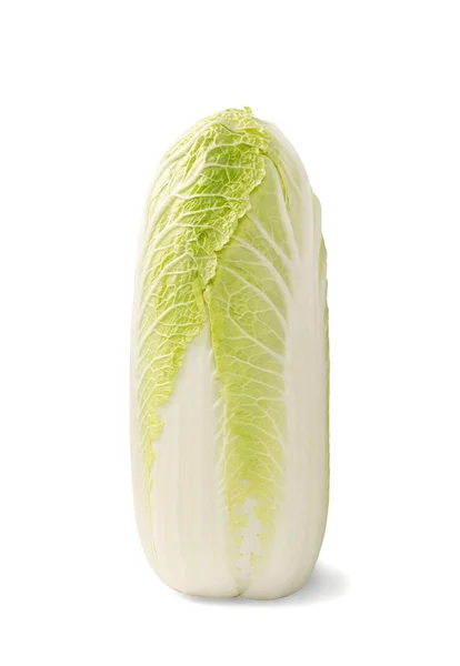 Whole Chinese Cabbage, Napa Cabbage or Wombok Isolated on White Background with Clipping Path. Fresh Green Cabbage — Stock Image Whole Chinese Cabbage Napa Cabbage Wombok Isolated White Background Clipping Stock Photo