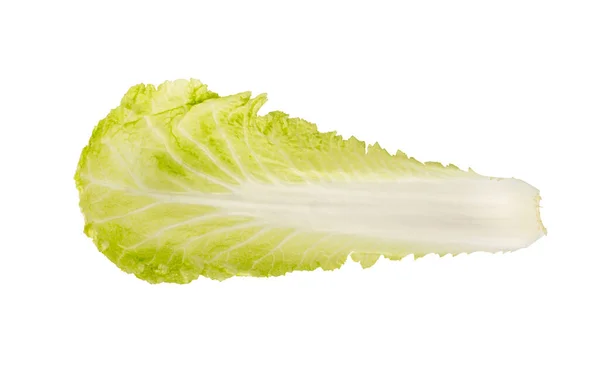 Fresh Green Leaf of Chinese Cabbage, Napa Cabbage or Wombok Isolated on White Background with Clipping Path. Fresh Green Cabbage — Stock Image Fresh Green Leaf Chinese Cabbage Napa Cabbage Wombok Isolated White Stock Picture