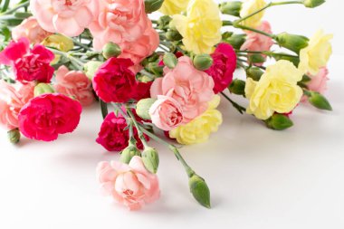 Taze karanfilli çiçek buketi beyaz arka planda izole edilmiş. Hediye kartı tasarımı için sarı, pembe ve kırmızı dianthus ve schabaud çiçekleri